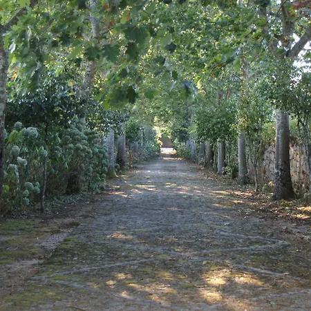 Bed and breakfast Casa Da Lage 3*